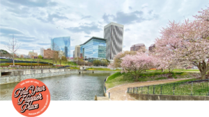the canal with cherry blossoms and the Richmond skyline in the background