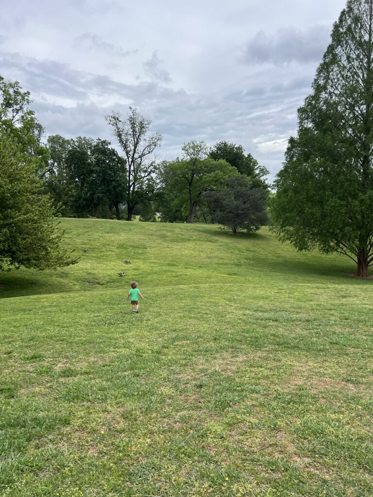 a little boy in a field at Maymont in Richmond