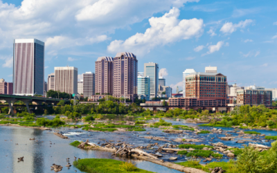 Richmond Local Businesses Leading the Way in Sustainability