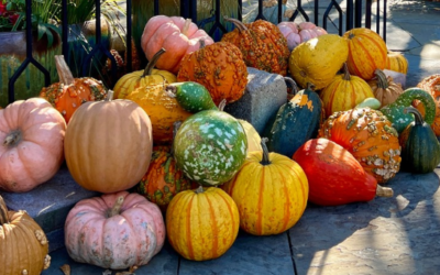 Halloween in Richmond, VA: Your 2026 Guide to Haunted Houses, Ghost Tours & Pumpkin Patches